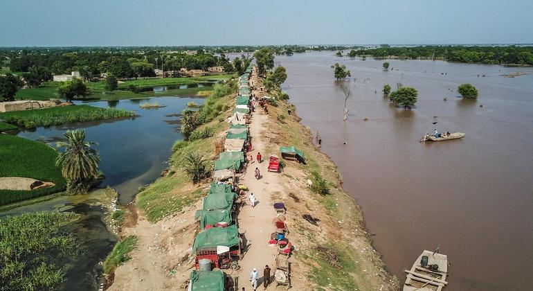 Последствия наводнения в Пакистане. Фото из архива